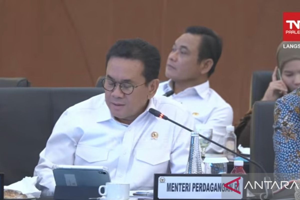 Mendag sebut kinerja ekspor daerah terdampak banjir tetap tumbuh