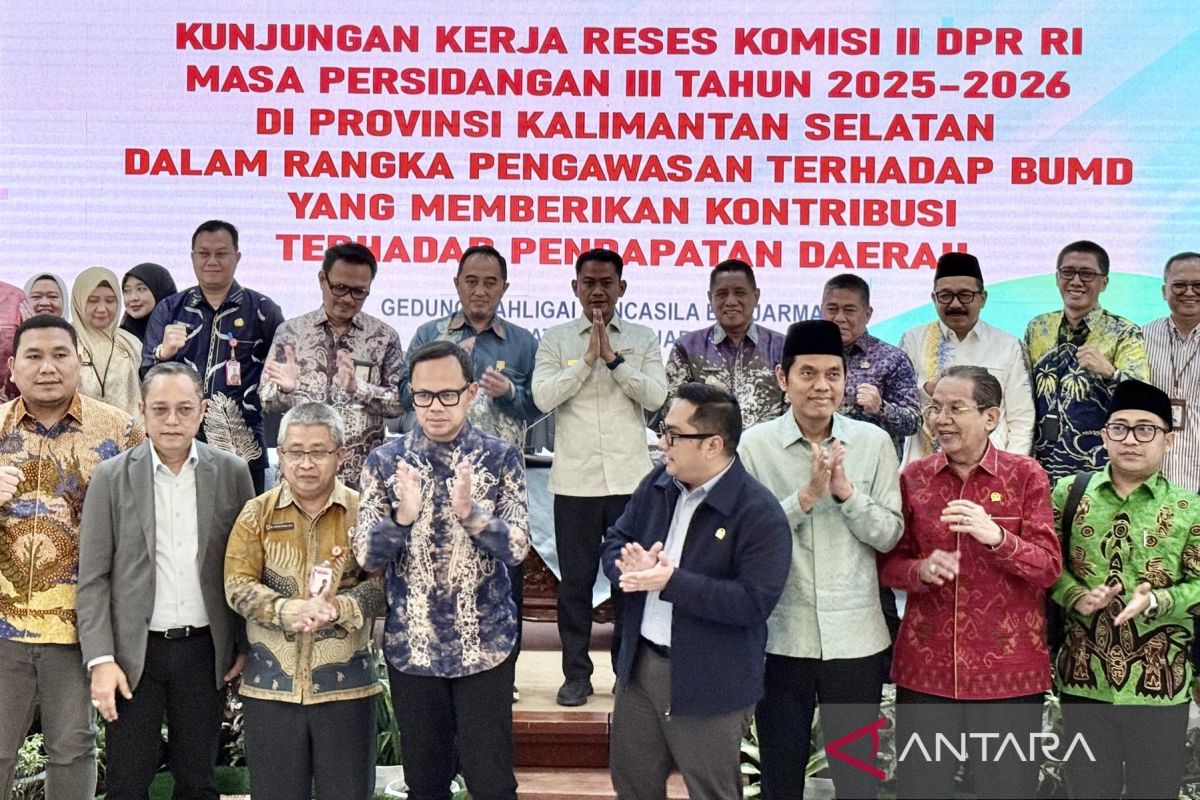 Wali Kota Banjarmasin minta DPR RI kaji dampak kebijakan fiskal daerah