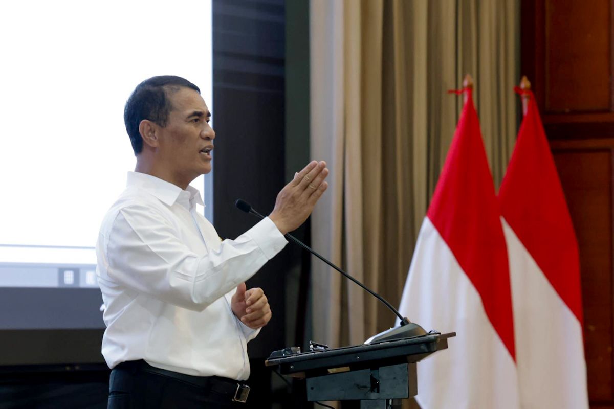 Mentan tegaskan swasembada berkelanjutan dan siap ekspor beras