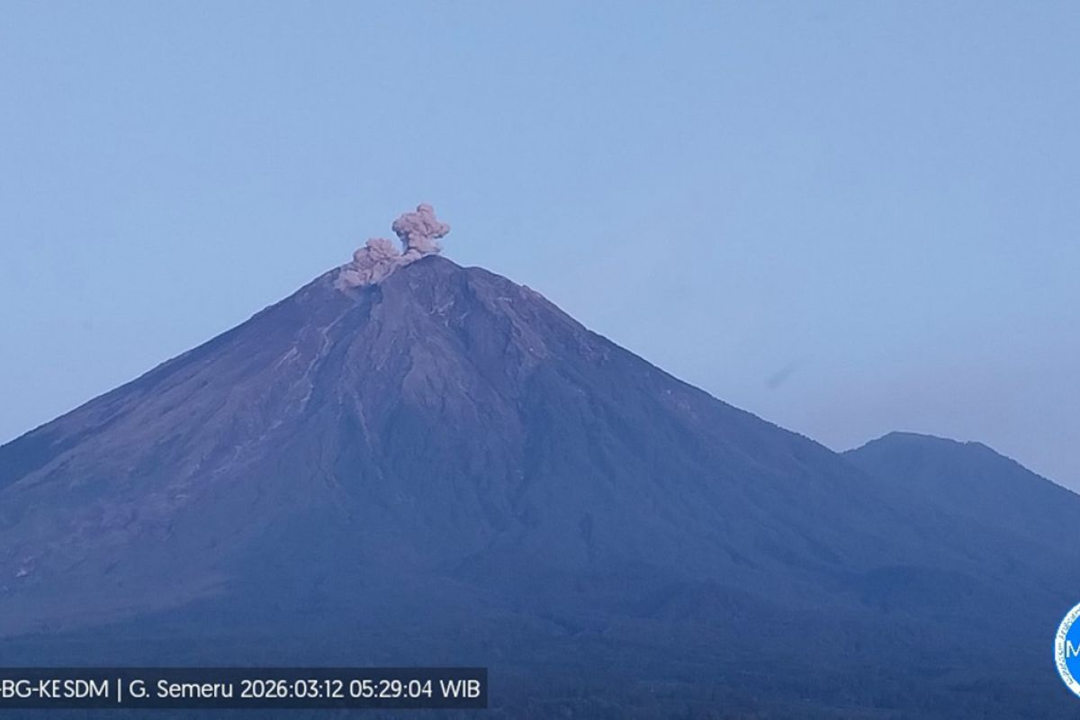 Semeru erupsi dengan tinggi letusan capai 600 meter di atas puncak