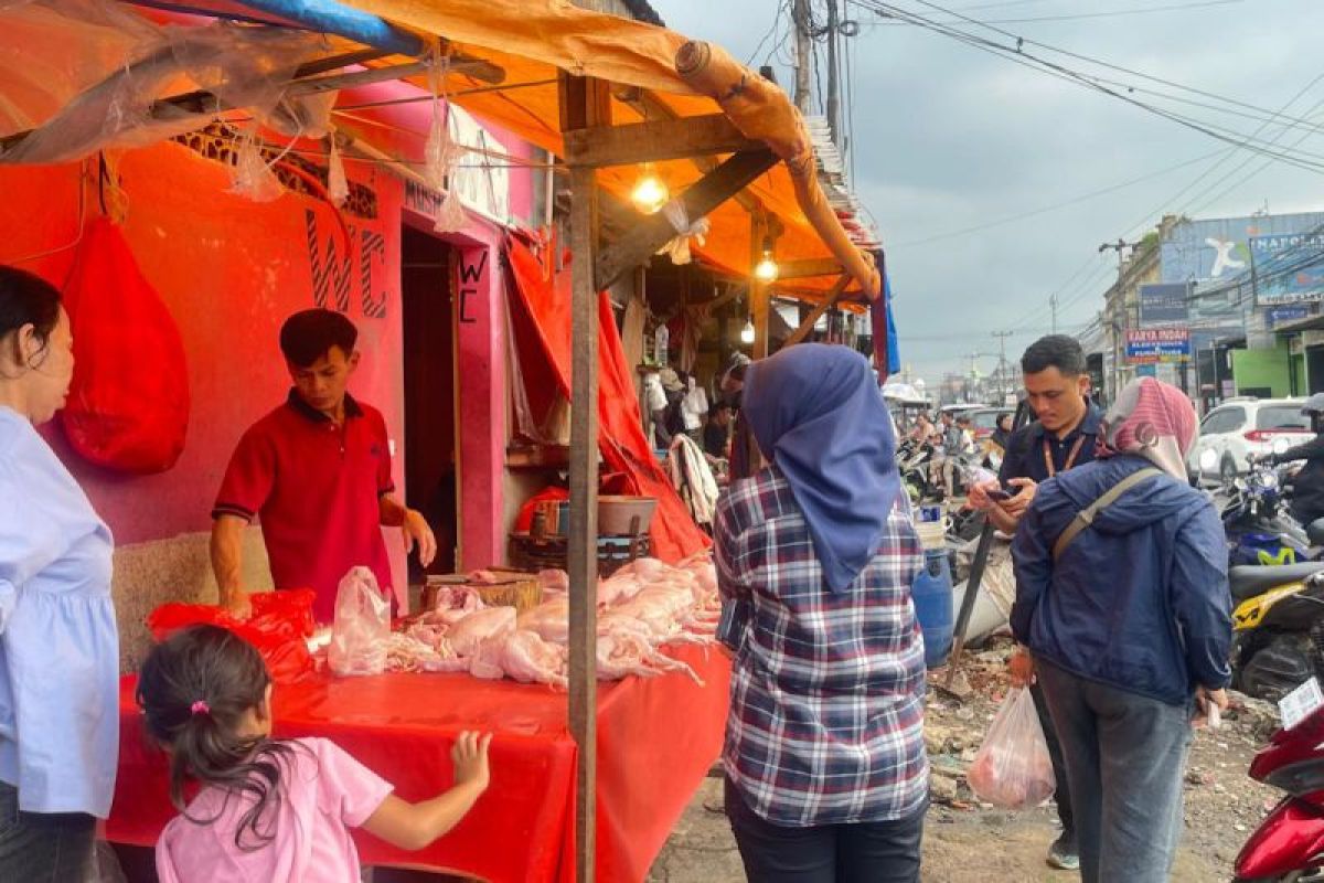 Kementan: Harga daging sapi di Pasar Cibinong dan Citeureup stabil