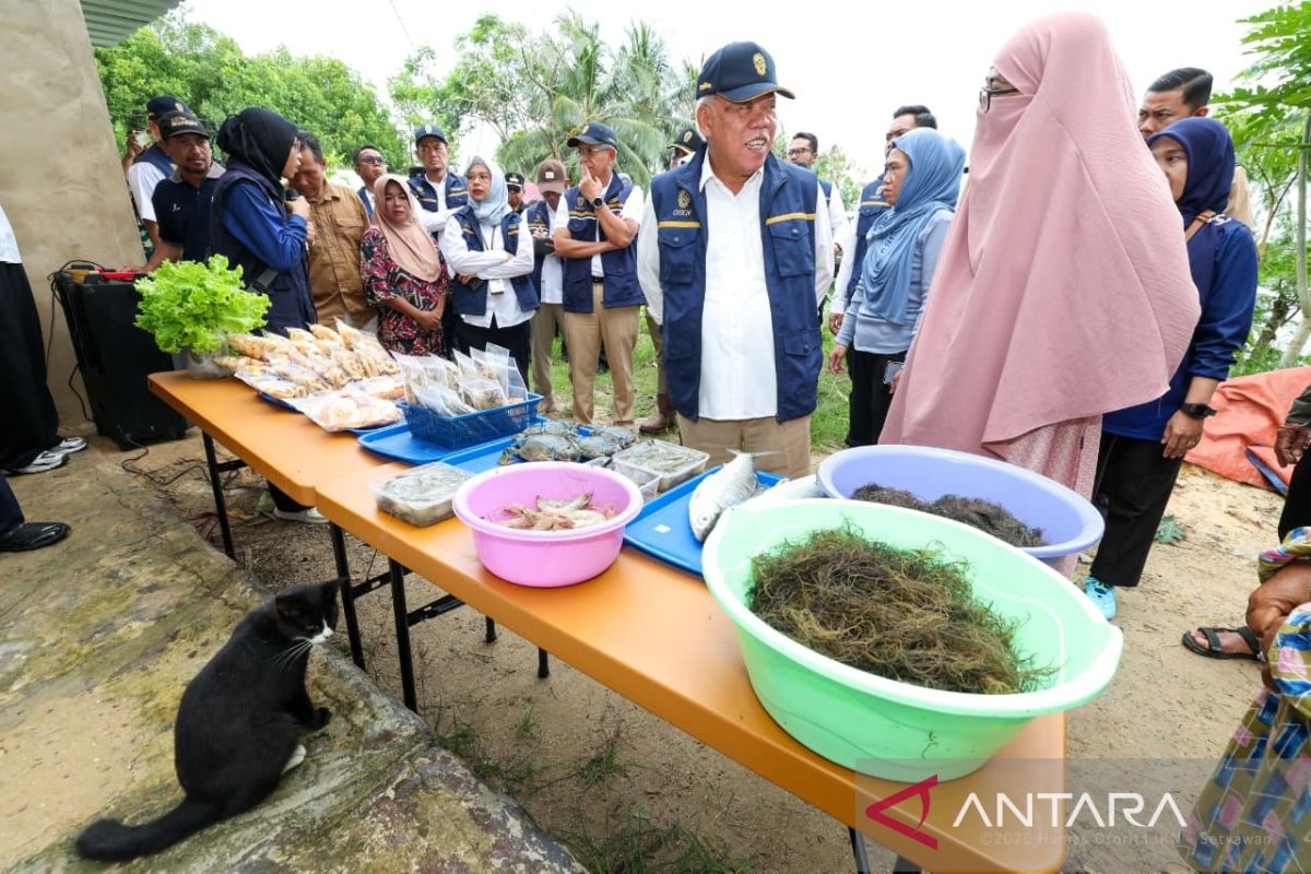 Otorita pastikan pembangunan IKN berikan manfaat bagi masyarakat
