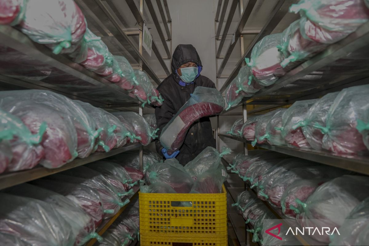 KKP pastikan fasilitas rantai dingin terintegrasi di seluruh KNMP