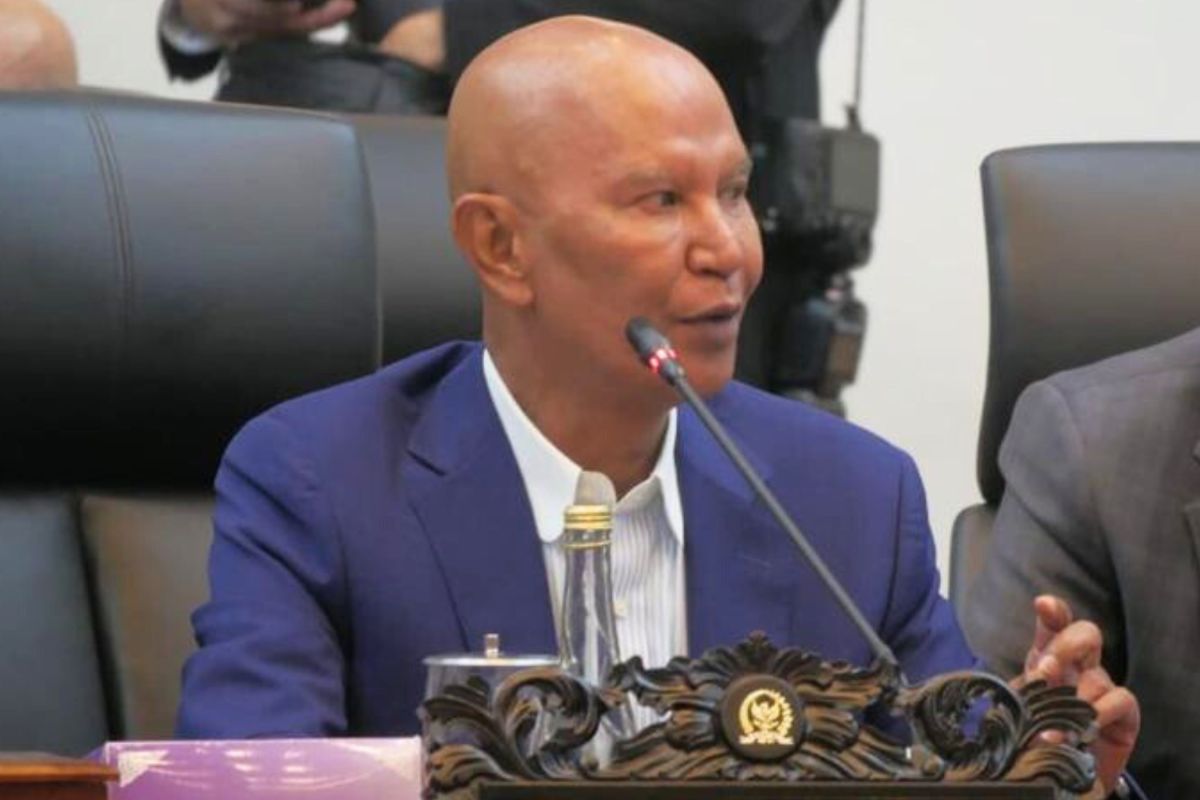 Banggar DPR: Agrinas tak perlu impor 105 ribu mobil niaga dari India