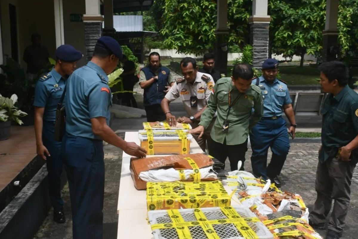 Petugas gagalkan penyelundupan 445 kulit ular piton di Bakauheni
