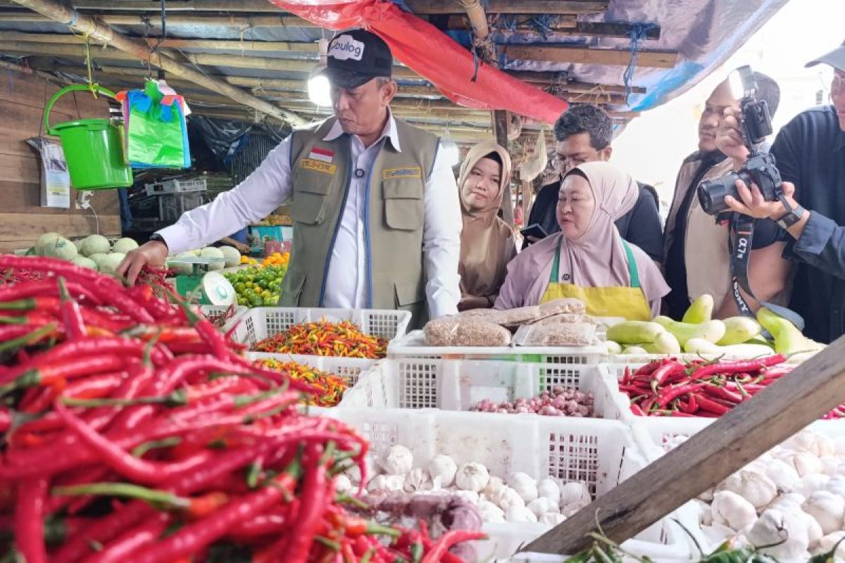 Dirut Bulog: Pengawasan rutin harga pangan jaga daya beli masyarakat
