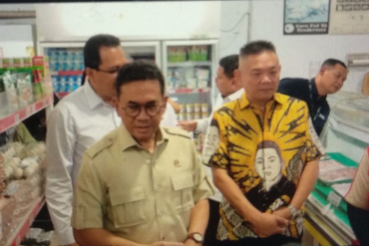Kendalikan harga pangan, Mendag maksimalkan sistem pemantauan pasar