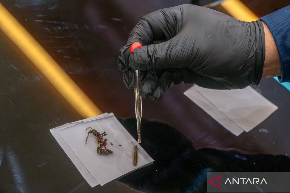 Mekanisme kelola stres kurangi risiko adiksi zat psikoaktif