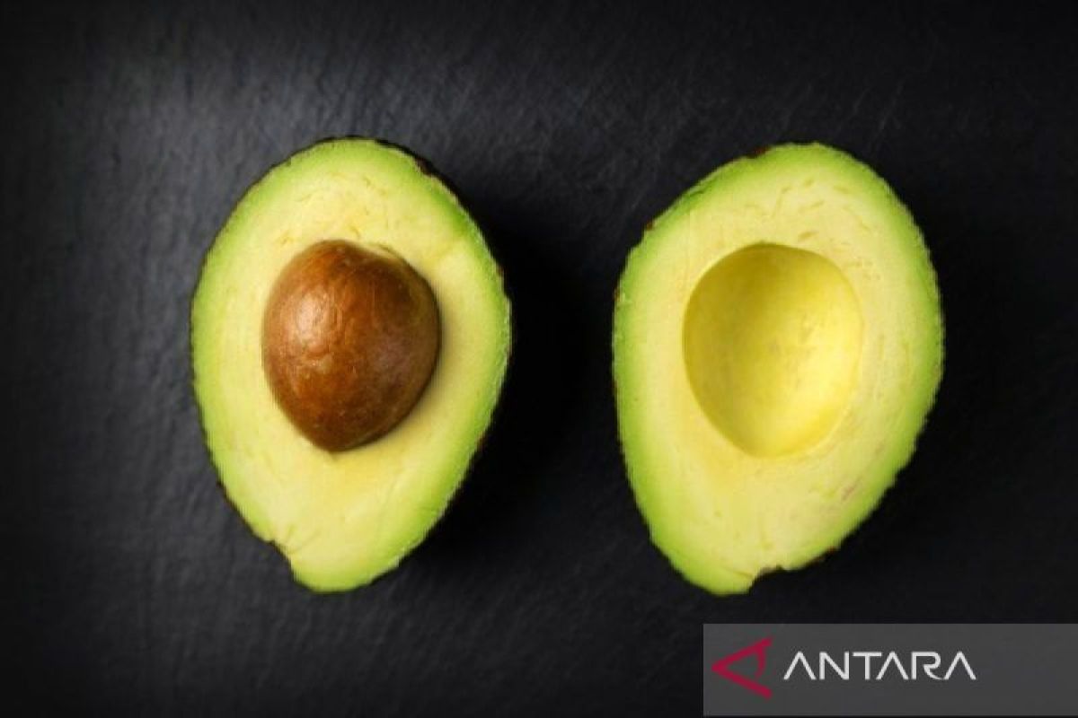 Kemarin, konsumsi alpukat hingga tujuan aturan baru kartu seluler