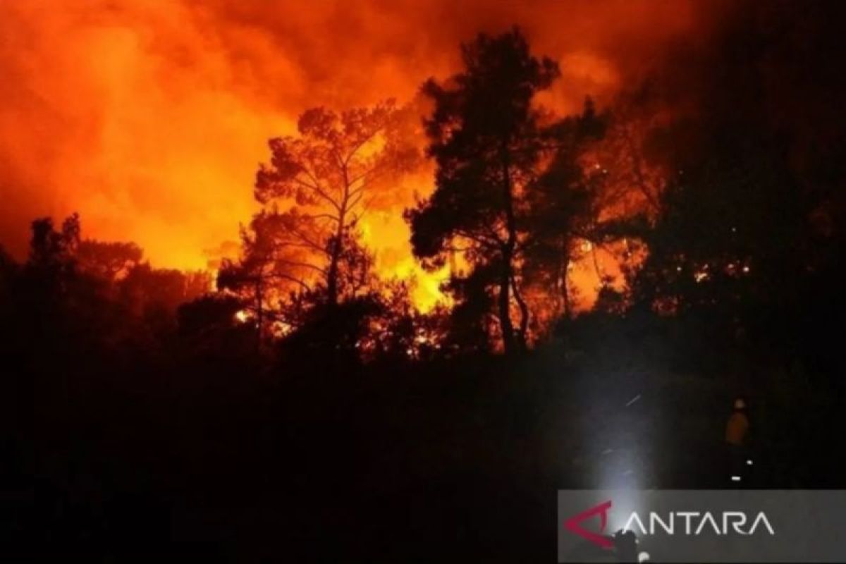 Korsel kerahkan ratusan petugas atasi kebakaran hutan