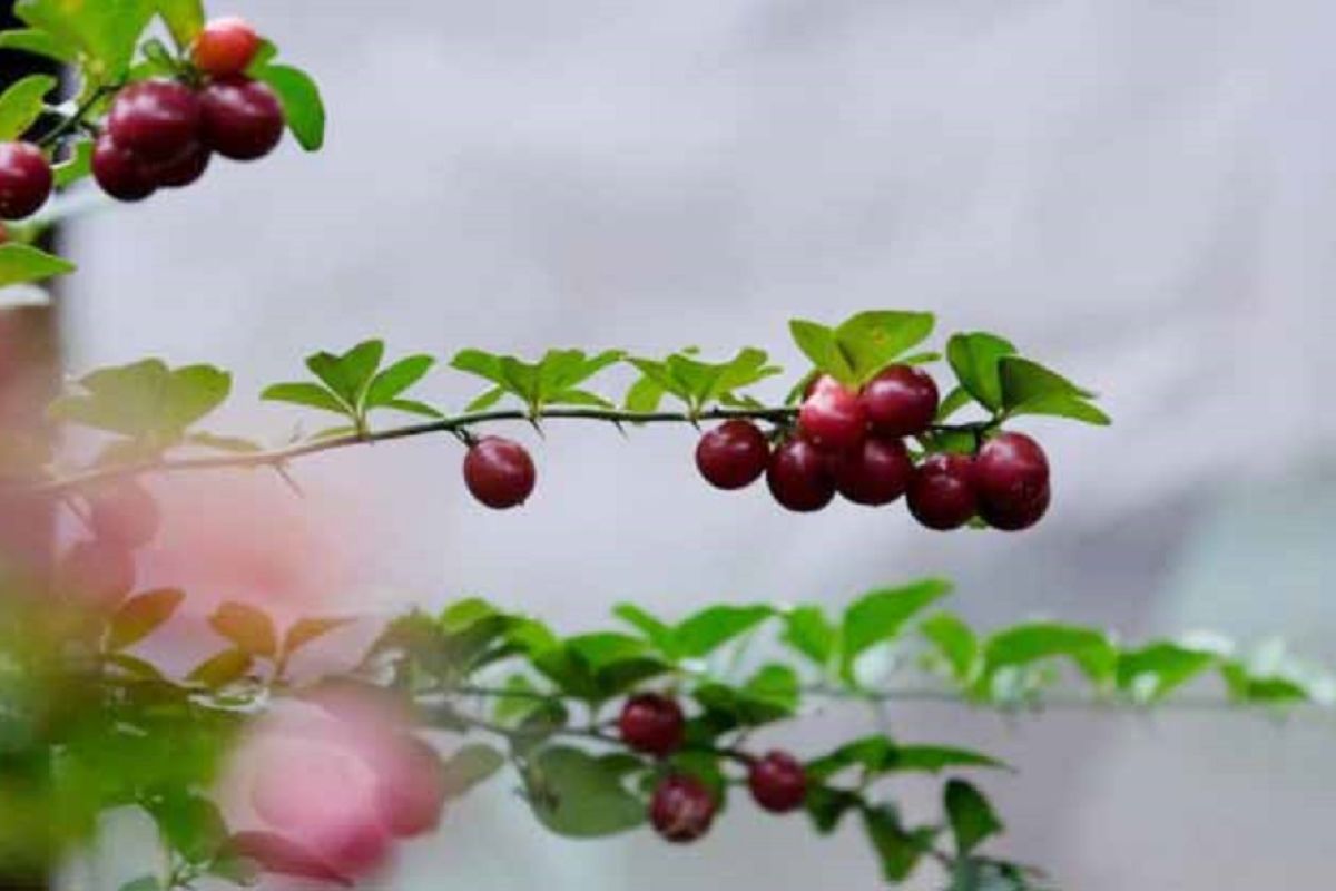 Wisata visual dorong minat Gen Z ke destinasi Bekasi