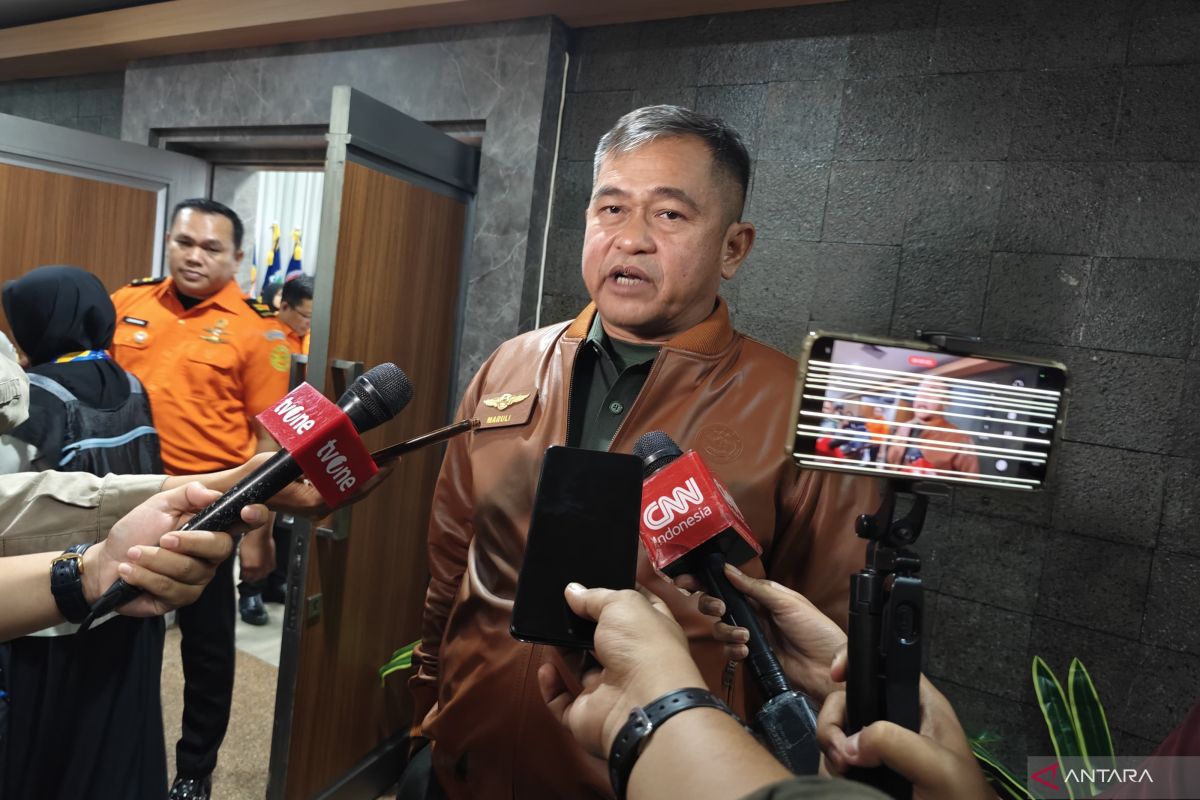 KSAD tunggu perintah Mabes TNI terkait penembakan pesawat di Papua