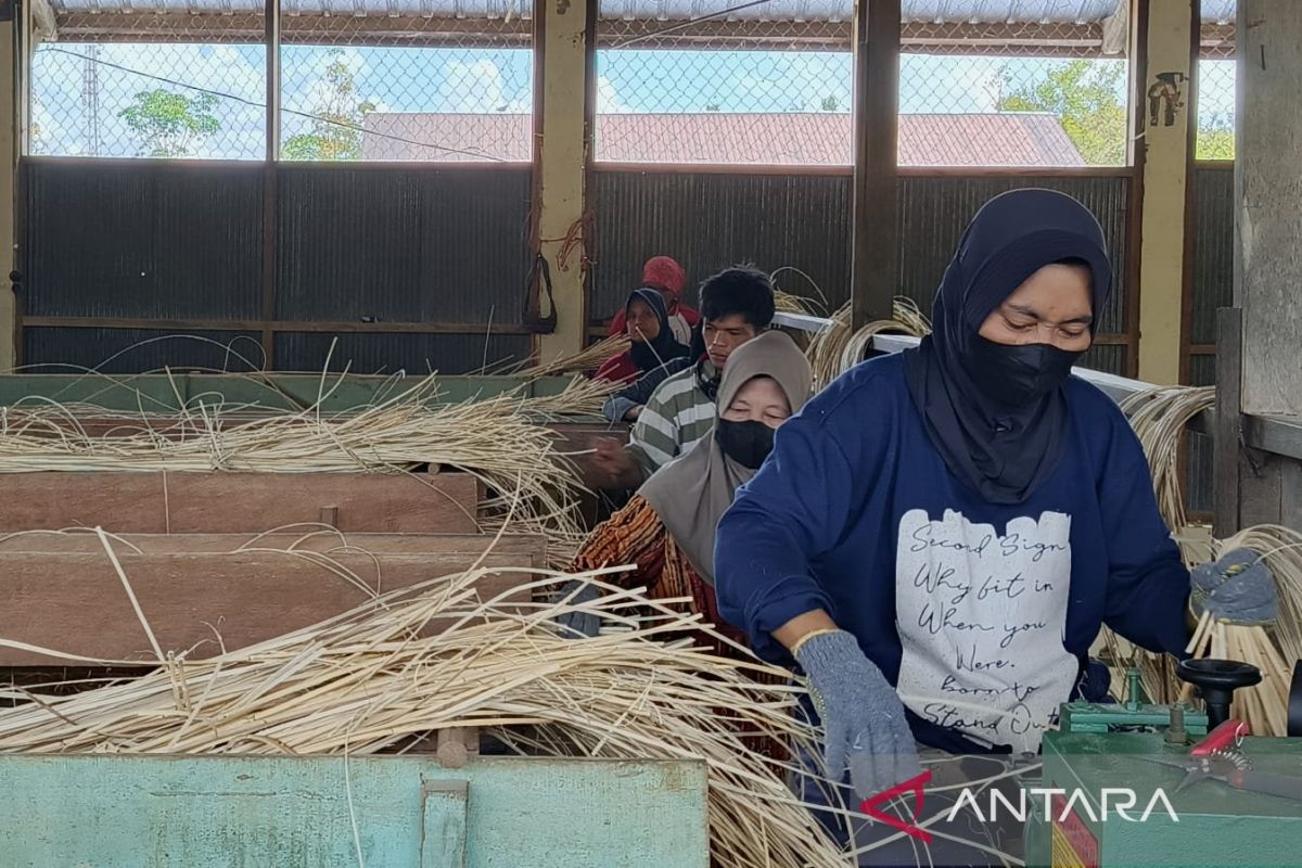 BPS catat 95 dari 100 orang angkatan kerja sudah memiliki pekerjaan