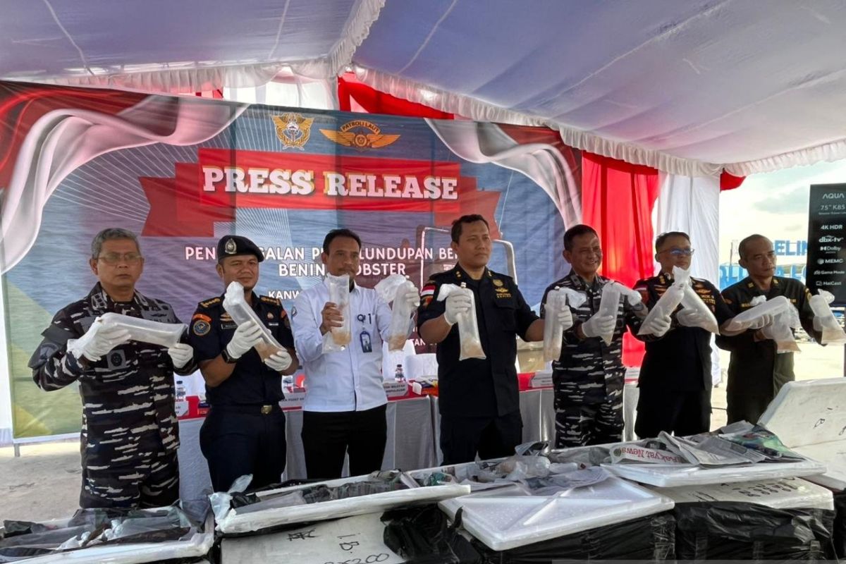 Tim gabungan gagalkan penyelundupan BBL senilai Rp11 miliar di Batam