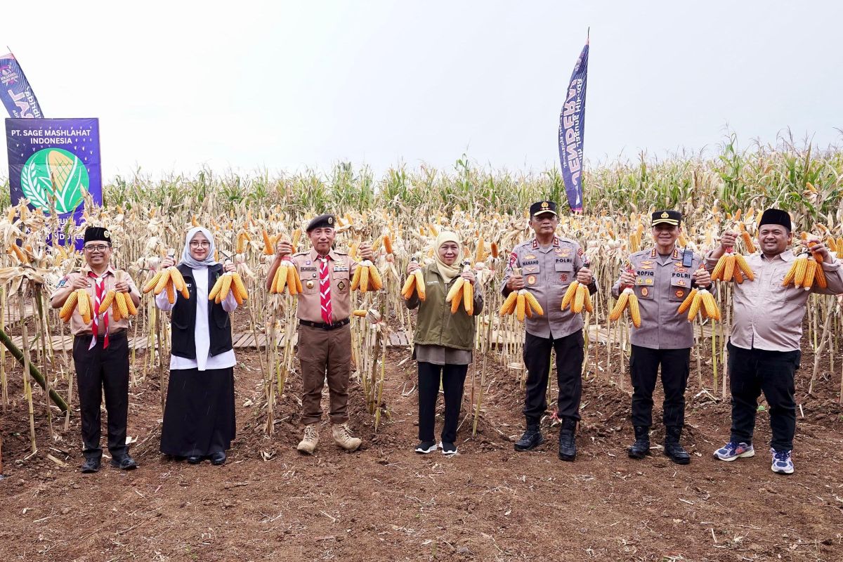 Khofifah sebut Jawa Timur kontributor jagung tertinggi di Indonesia