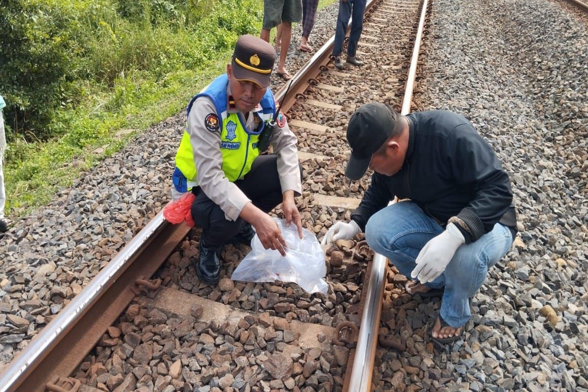 Polisi evakuasi petugas rel tewas tertemper KA di Batang
