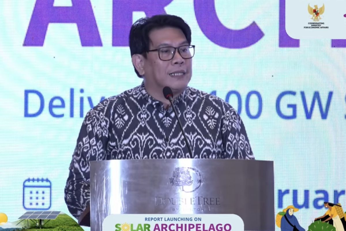 IESR nilai RI berpeluang jadi pemimpin energi terbarukan di ASEAN