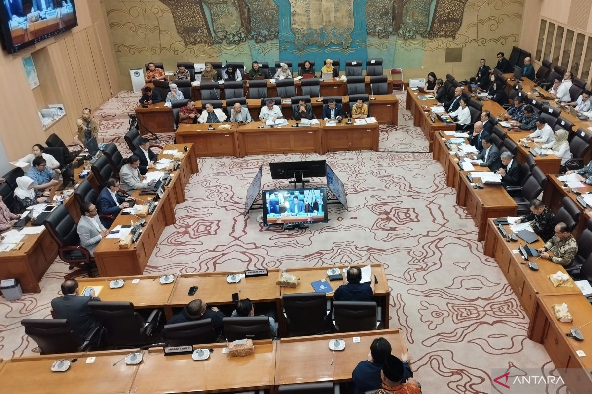 Pansus DPR setuju untuk mulai bahas RUU Hukum Perdata Internasional