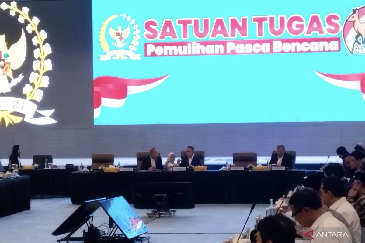 DPR minta pemerintah perbolehkan bantuan dari diaspora ke Sumatra