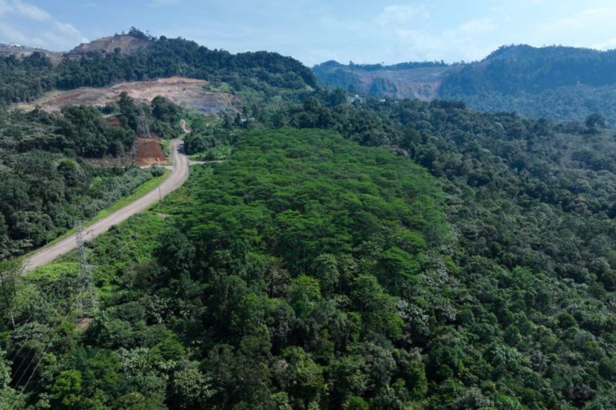 Perhapi harap pemerintah perjelas kelanjutan tambang Agincourt