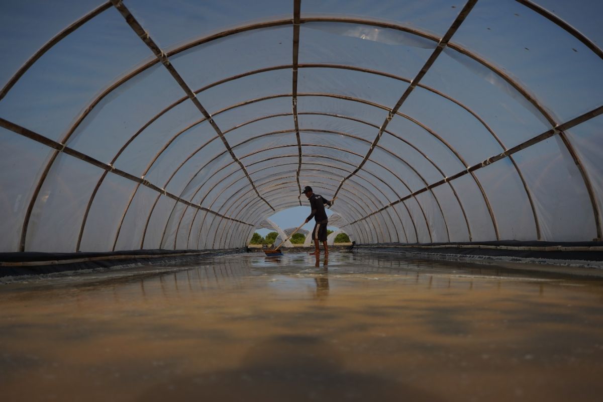 KKP terapkan teknologi Tunnel-SWRO tingkatkan kualitas garam rakyat