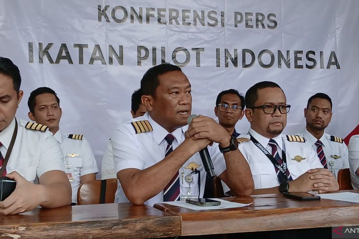 IPI minta pemerintah jamin keamanan penerbangan di Papua