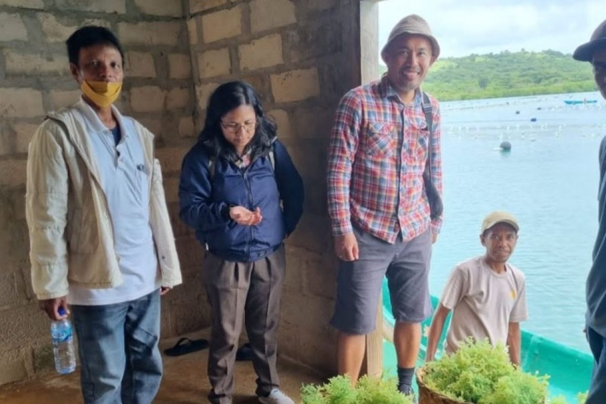 Undana hadirkan peta digital interaktif rumput laut berbasis AI