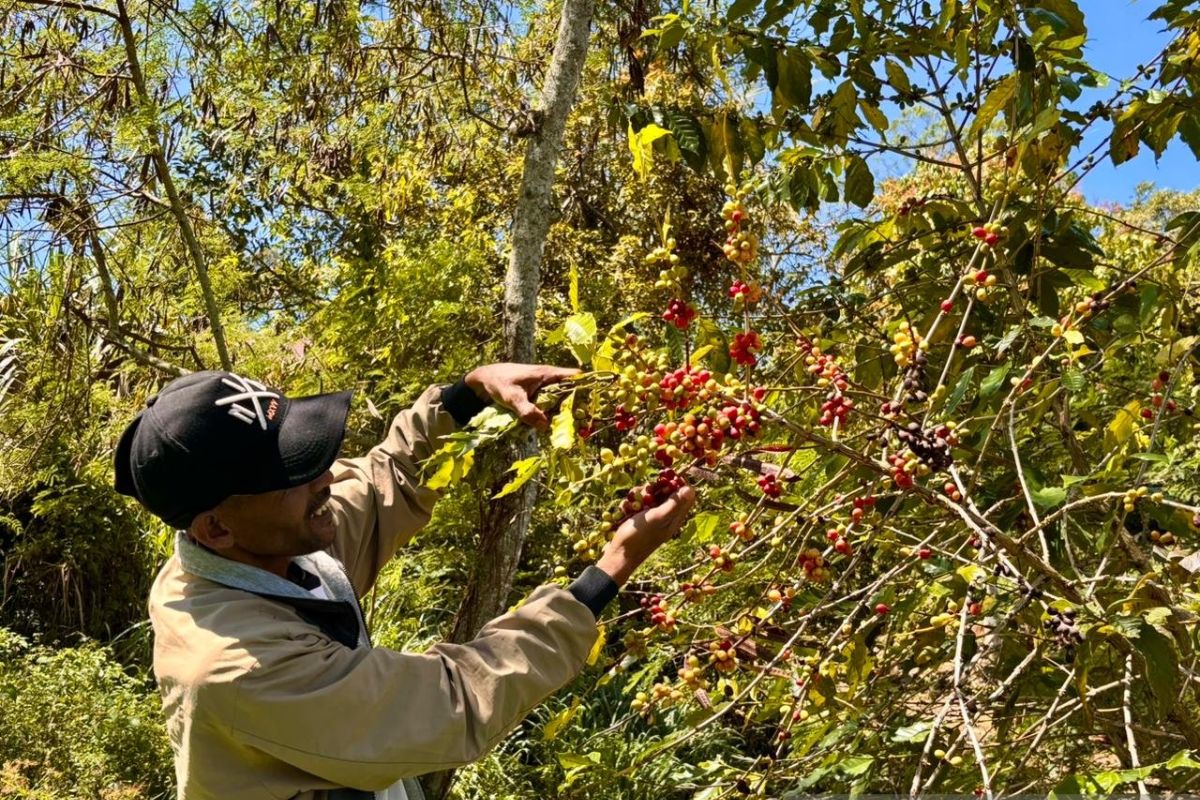 Pemkab Bener Meriah berupaya maksimal buka akses jalan di perkebunan