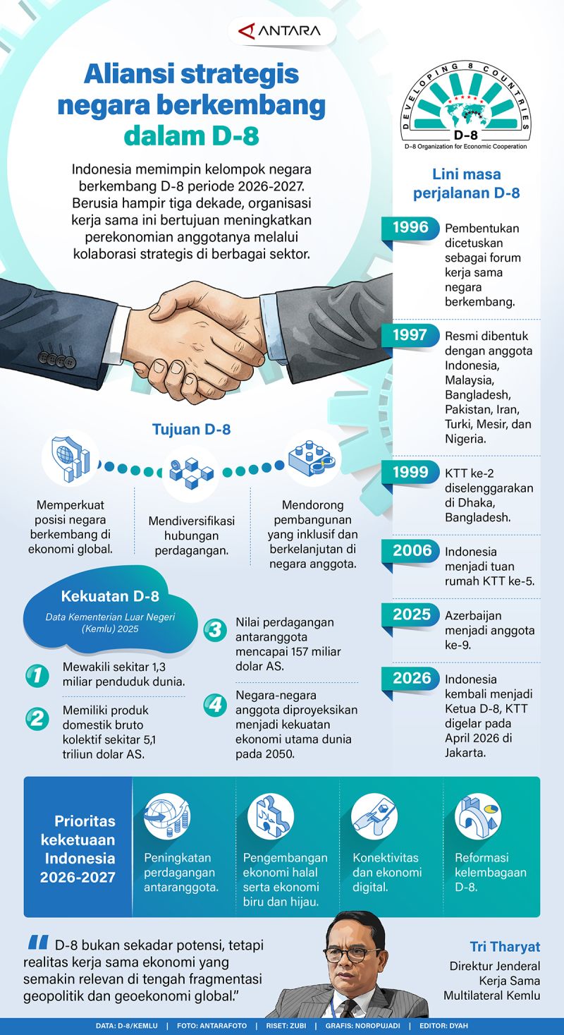 Aliansi strategis negara berkembang dalam D-8