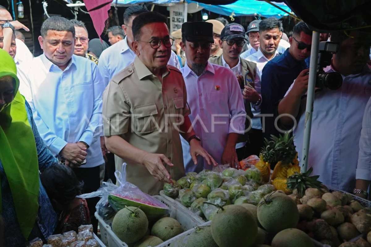 Mendag pantau bahan pokok di pasar tradisional dan ritel di Makassar