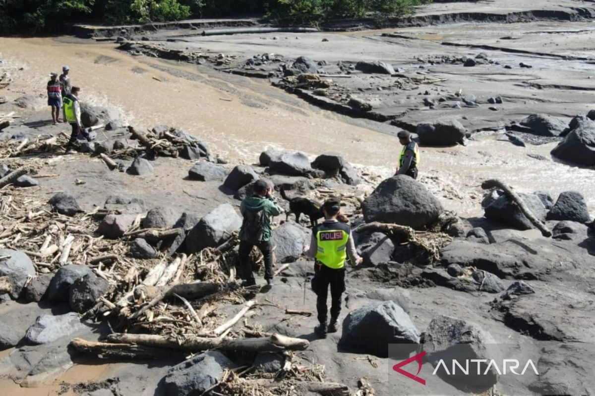 SAR terjunkan anjing pelacak mencari korban lahar hujan Merapi