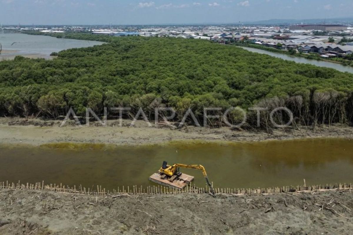 KKP targetkan proyek karbon biru masuk pasar perdagangan pada 2027