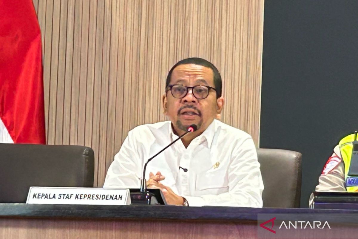 KSP sebut cadangan beras nasional paling kuat