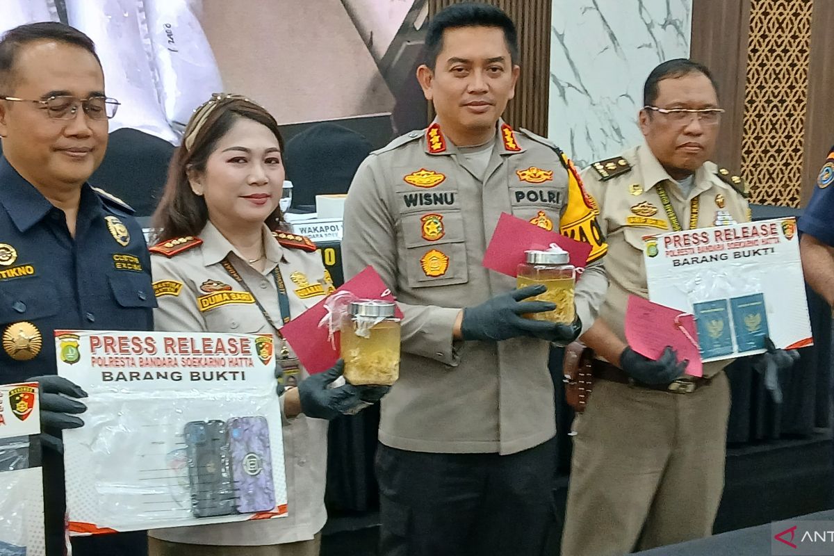 Polisi Bandara Soetta gagalkan penyelundupan BBL senilai Rp4,28 miliar