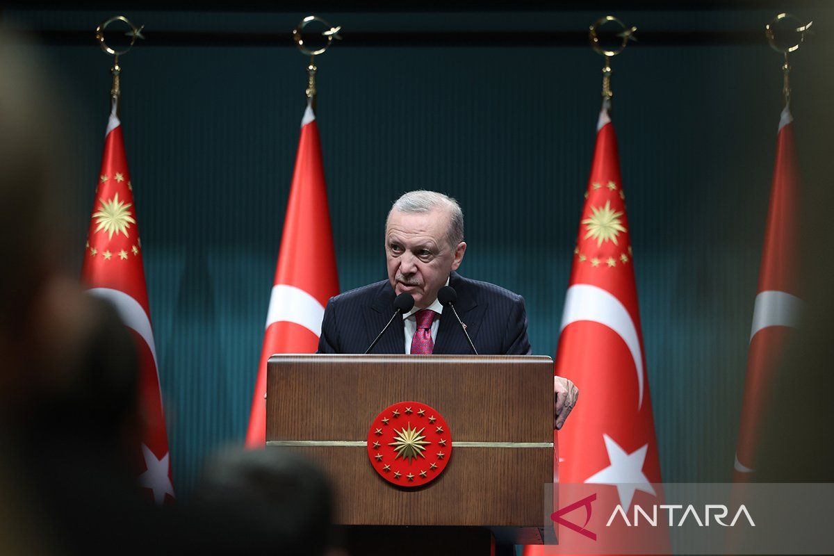 Erdogan: Pelanggaran terhadap wilayah udara Turki tak bisa ditoleransi