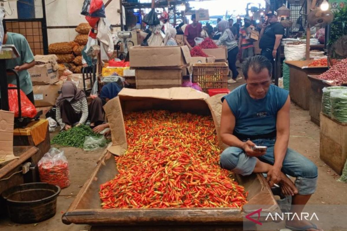 Harga cabai di Pasar Induk Kramat Jati sempat melonjak jelang Ramadhan