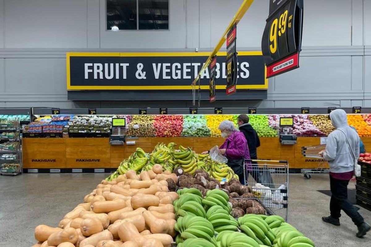 Survei: Warga Selandia Baru khawatir terhadap dampak AI