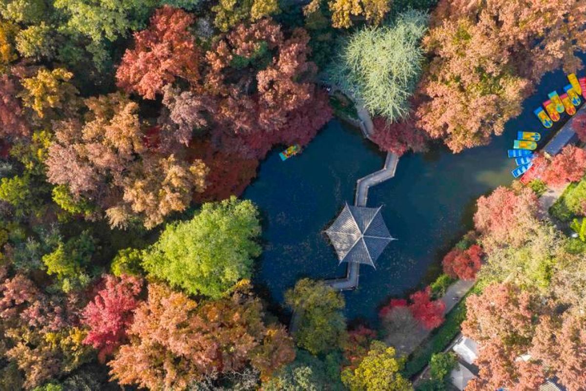 China luncurkan proyek megasains ungkap cetak biru genetik tumbuhan darat