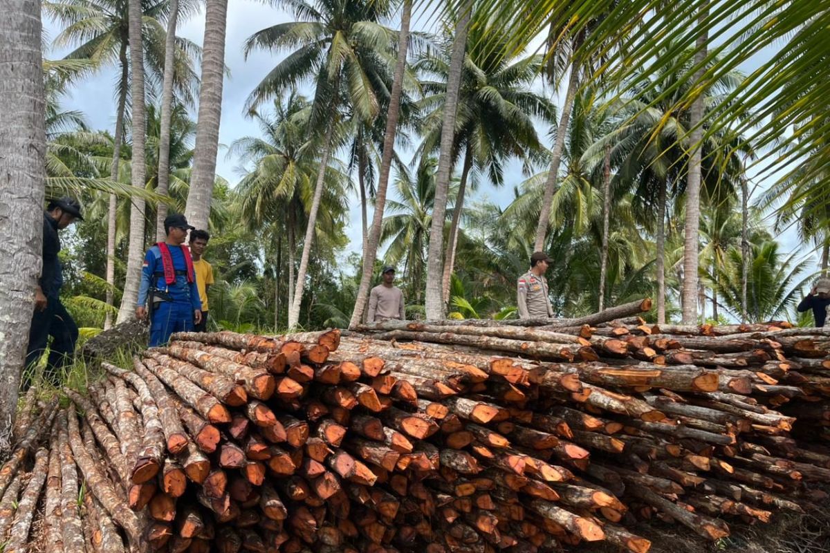Polres Lingga tetapkan enam tersangka pembalakan kayu bakau