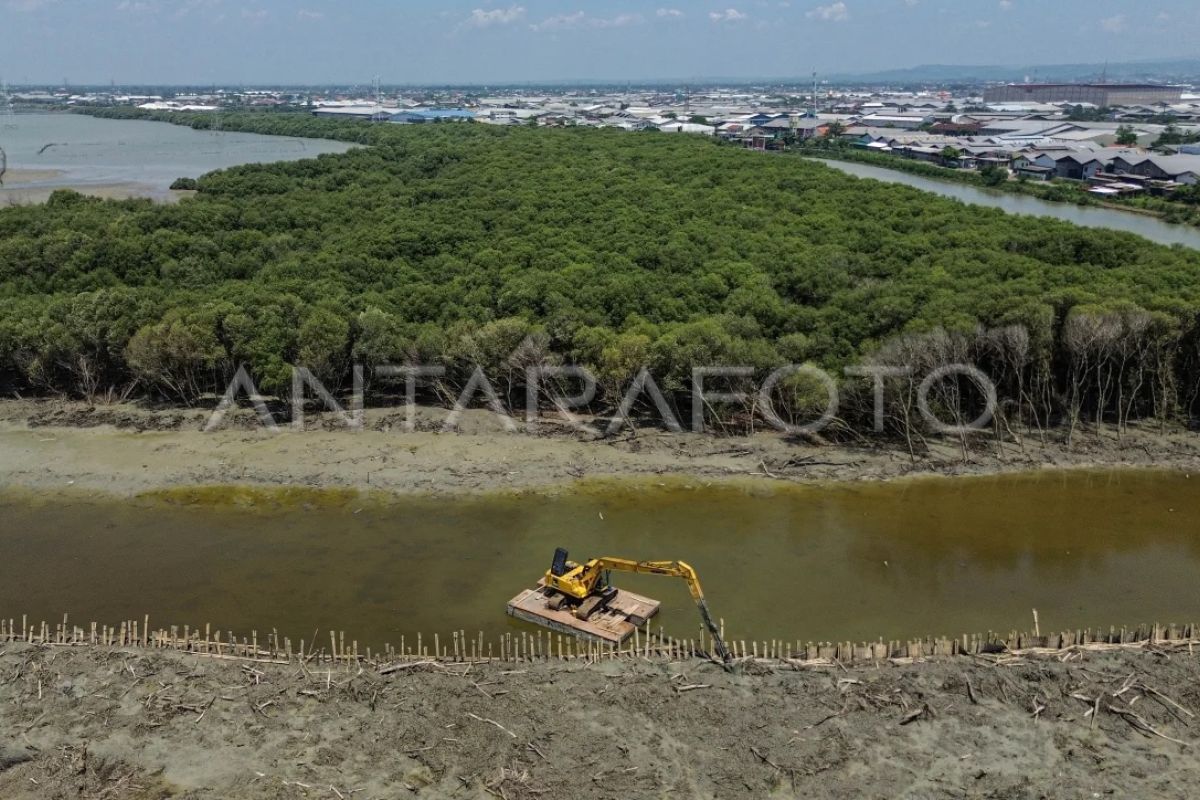 Indonesia percepat penerapan karbon biru untuk transisi iklim