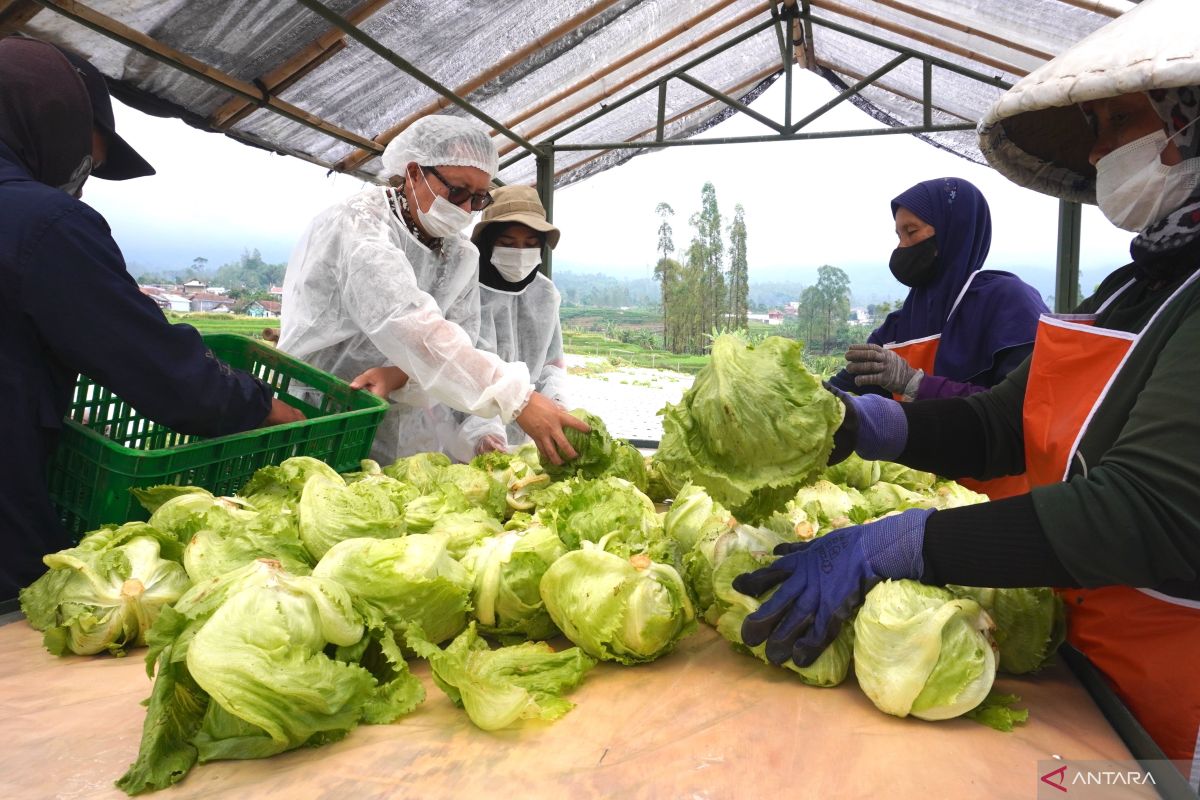 Studi sebut restoran cepat saji sumbang lapangan kerja komunitas lokal