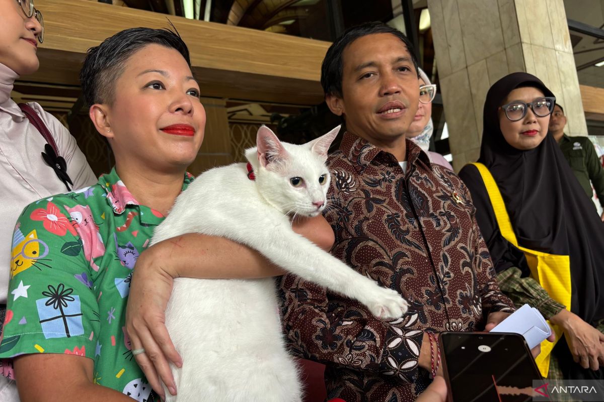 Menhut: Belum ada pengajuan kawasan hutan untuk huntara dan huntap