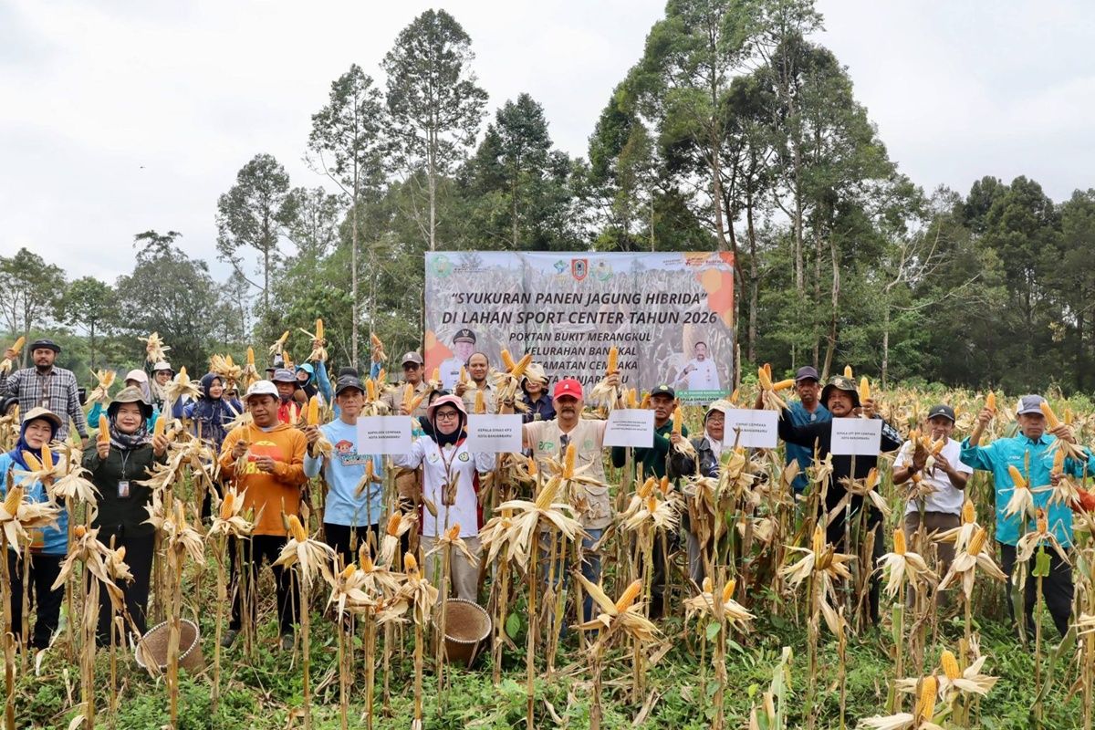 DPKP Kalsel jadikan Bukit Merangkul sebagai kawasan pertanian terpadu