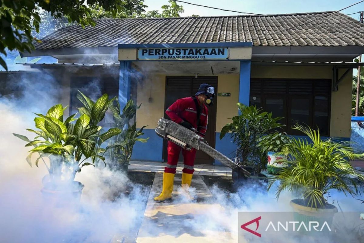 Tren kasus DBD di Jakarta meningkat