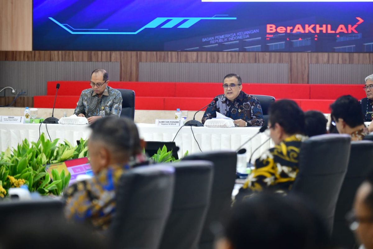 BPK tekankan urgensi padankan data subsidi dan kompensasi dengan DTSEN