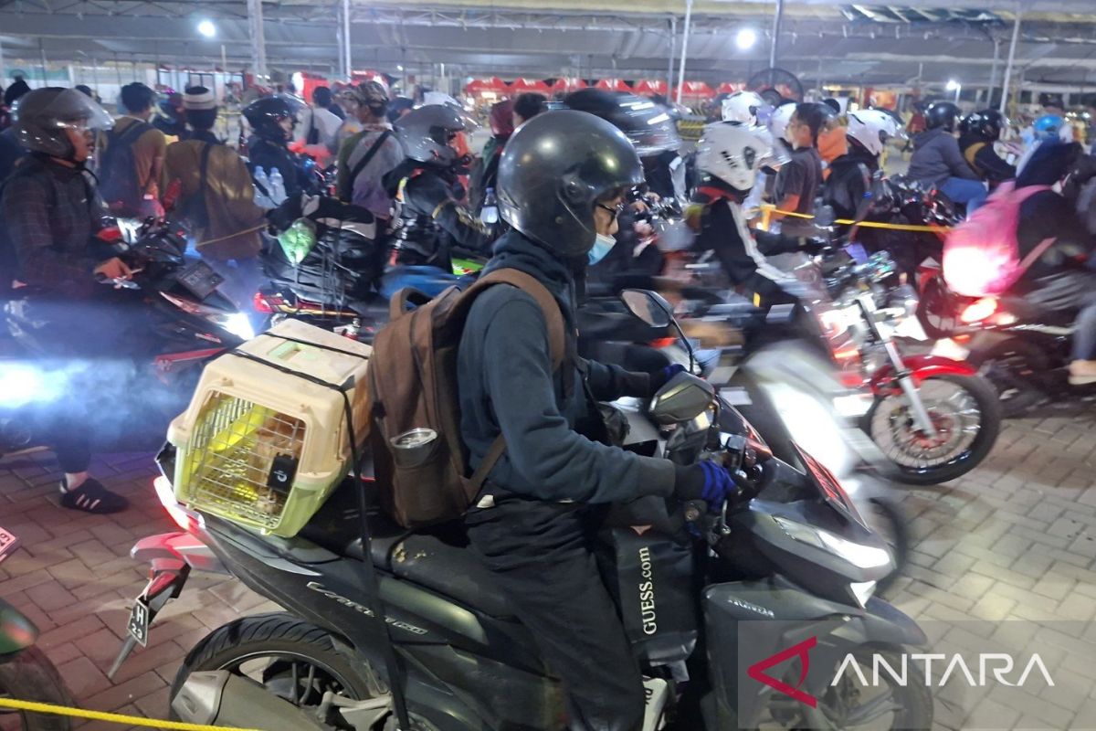 Demi hemat biaya, pemudik ini pilih bawa kucing mudik ke Lampung