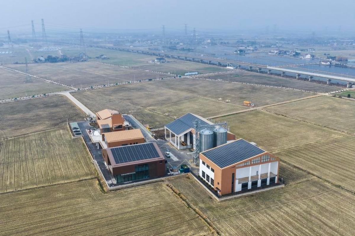 China kembangkan lebih banyak lahan pertanian berstandar tinggi