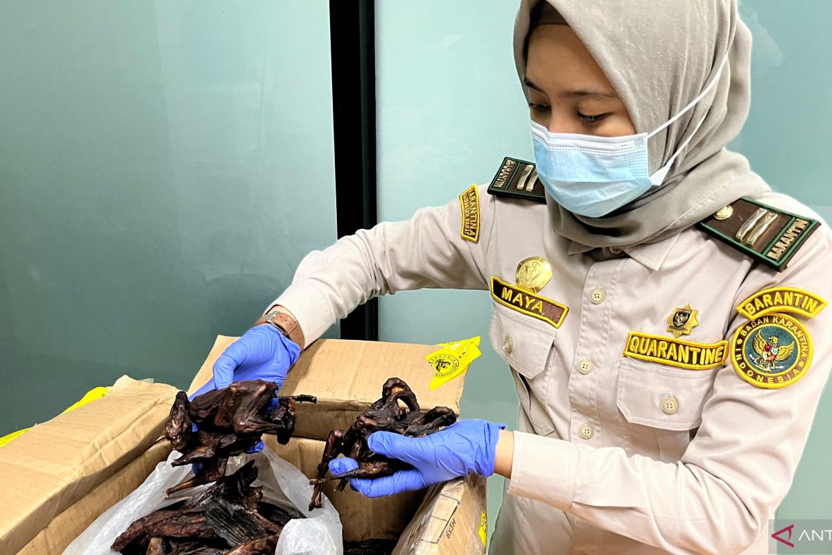 Karantina Kalbar tahan daging kelelawar di PLBN Aruk