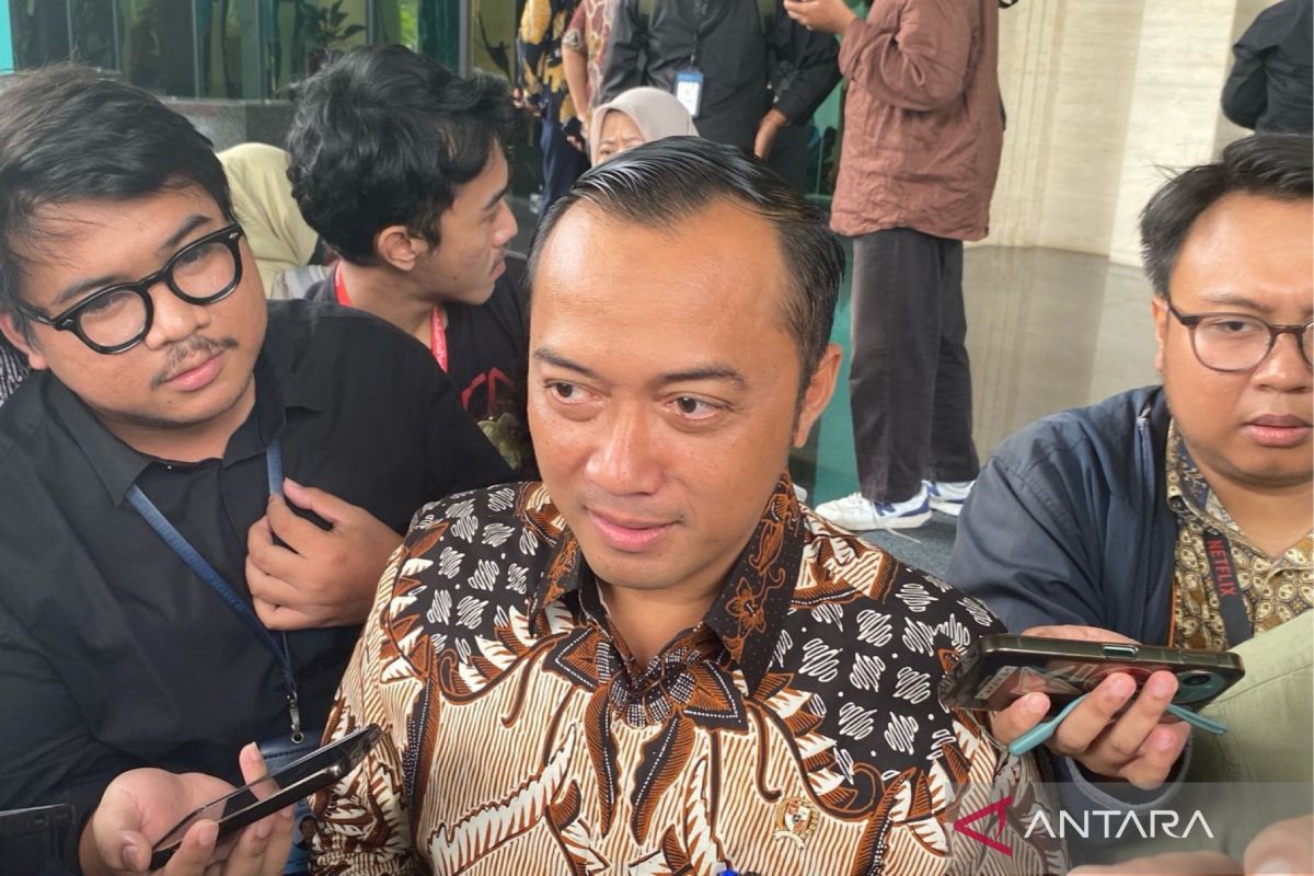 Mensesneg tegaskan reshuffle kabinet wewenang Presiden
