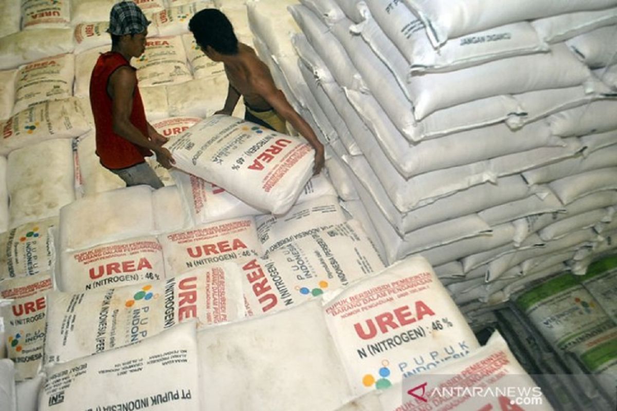 Wamentan sebut banyak negara ingin impor urea RI akibat perang Iran-AS